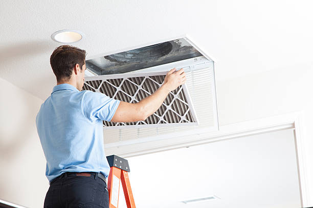 Best Solar-powered HVAC Systems in Palacios, TX